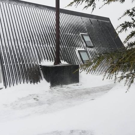 Chale Acolhedor - Penhas Da Saude - Serra Da Estrela Covilha Ngoại thất bức ảnh